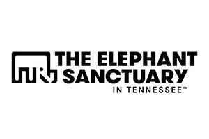 Brand Name : Brand Short Description Type Here.