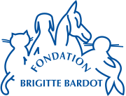 Brand Name : Brand Short Description Type Here.