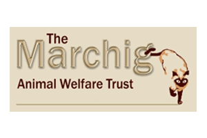 Brand Name : Brand Short Description Type Here.