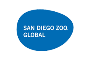 Brand Name : Brand Short Description Type Here.